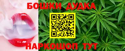 индика Ликино-Дулёво