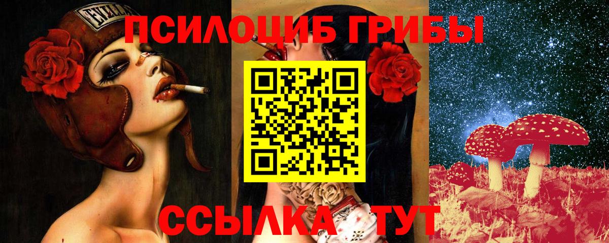 купить закладку  Галлюциногенные грибы Psilocybine cubensis  Десногорск  Вход с VPN  Псилоцибиновые грибы прущие грибы 